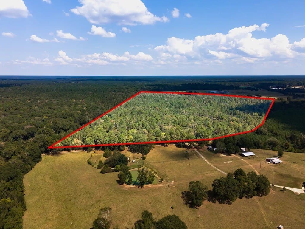 83.5 acres in Texas County gallery image 3