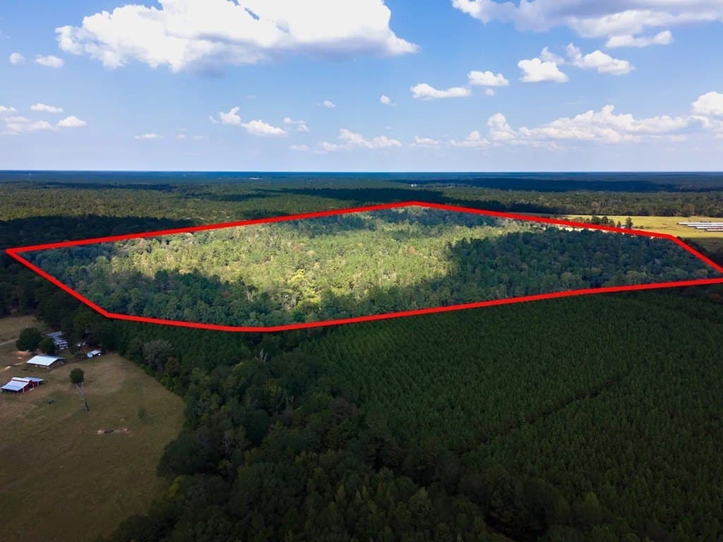 83.5 acres in Texas County featured view