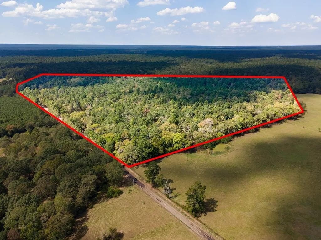 83.5 acres in Texas County
