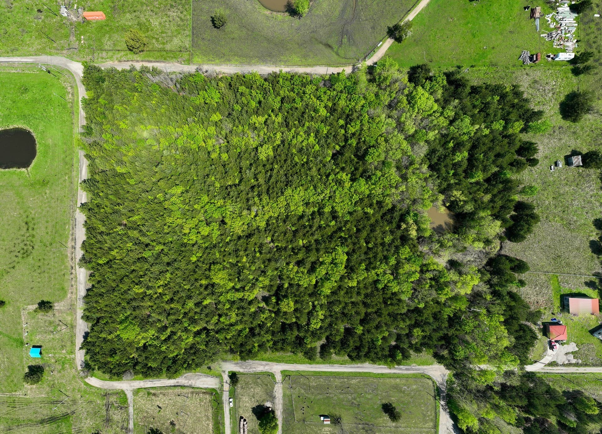 13.81 acres in Hunt County gallery image 2
