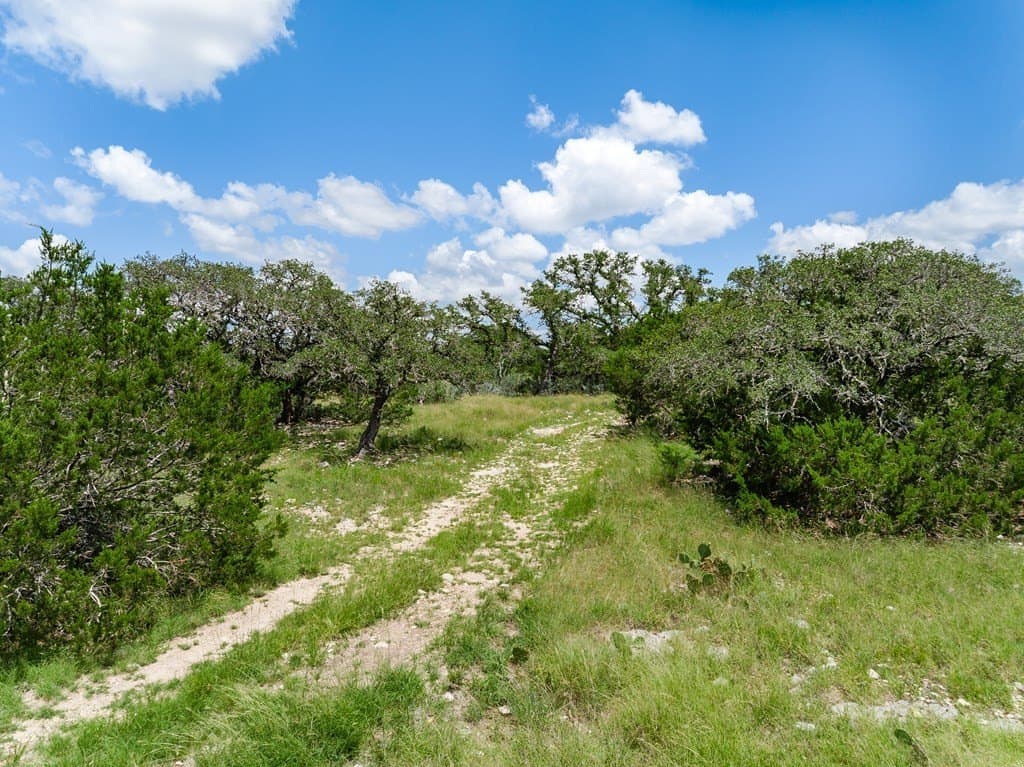 17.83 acres in Gillespie County - photo 11