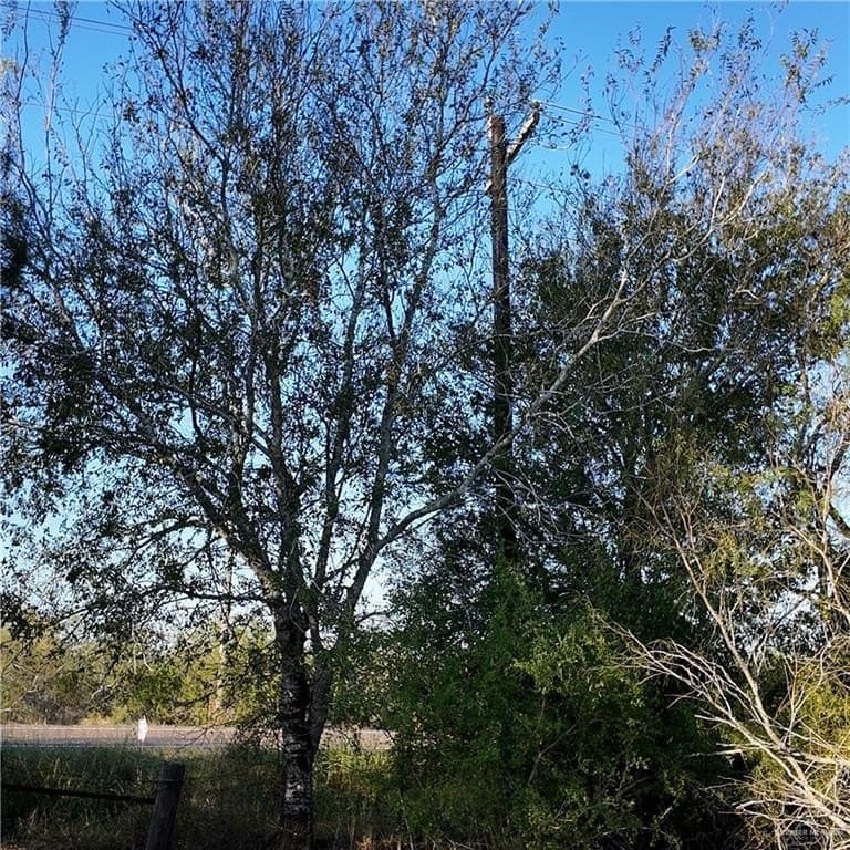 25.63 acres in Brooks County featured view