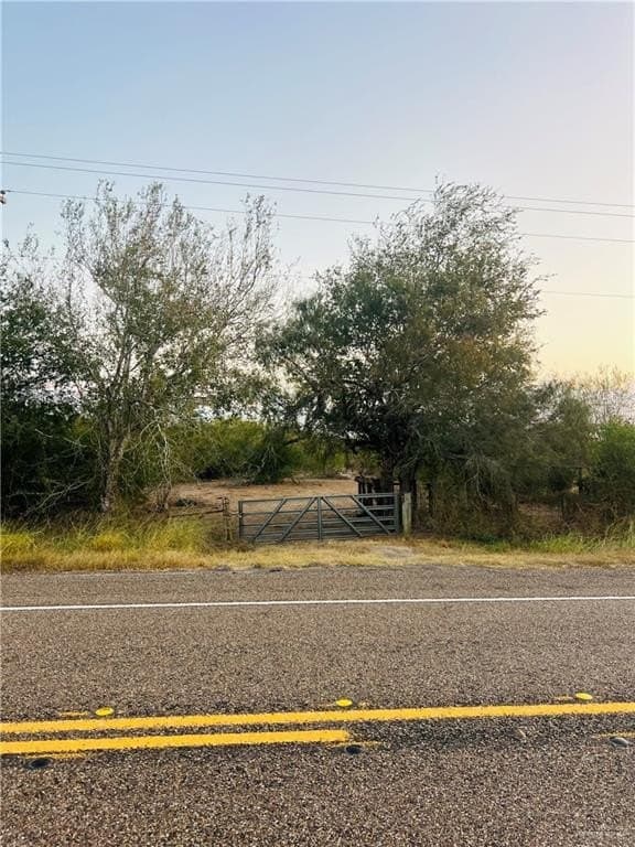25.63 acres in Brooks County gallery image 2