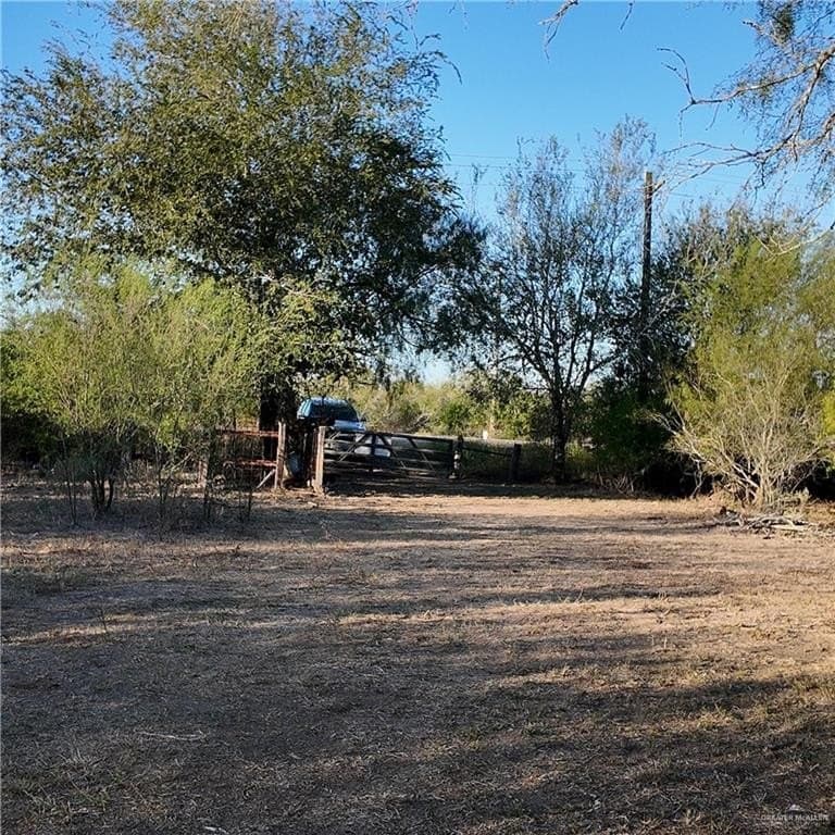 25.63 acres in Brooks County gallery image 4