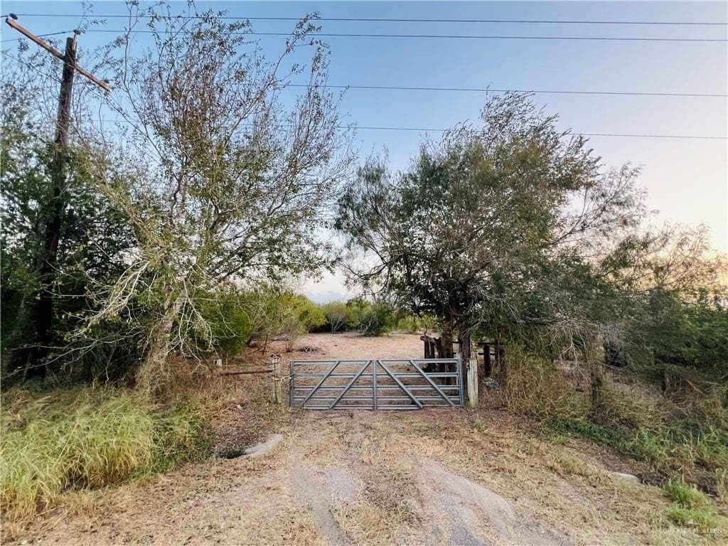 25.63 acres in Brooks County gallery image 3