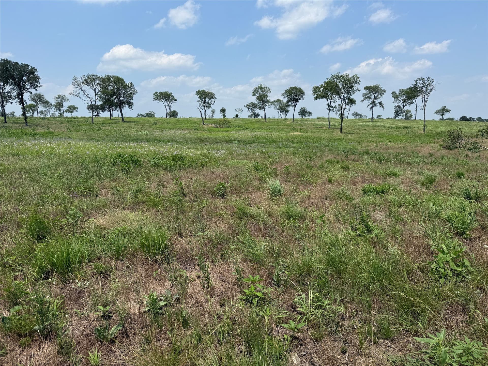 2.36 acres in Navarro County - photo 9