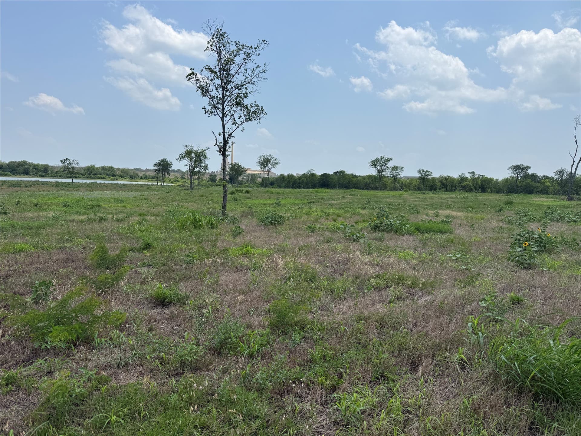 2.36 acres in Navarro County - photo 23