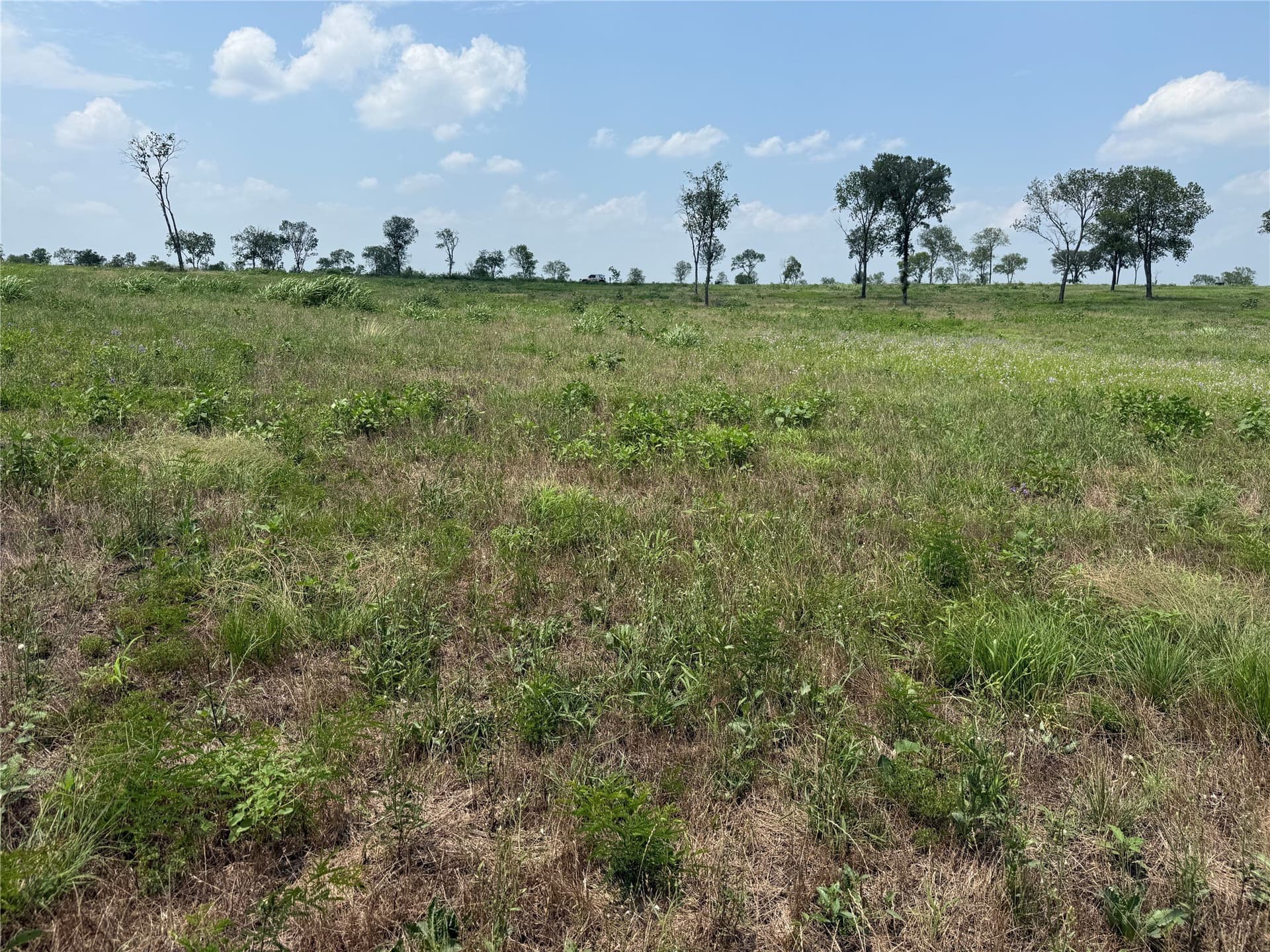 2.36 acres in Navarro County gallery image 3