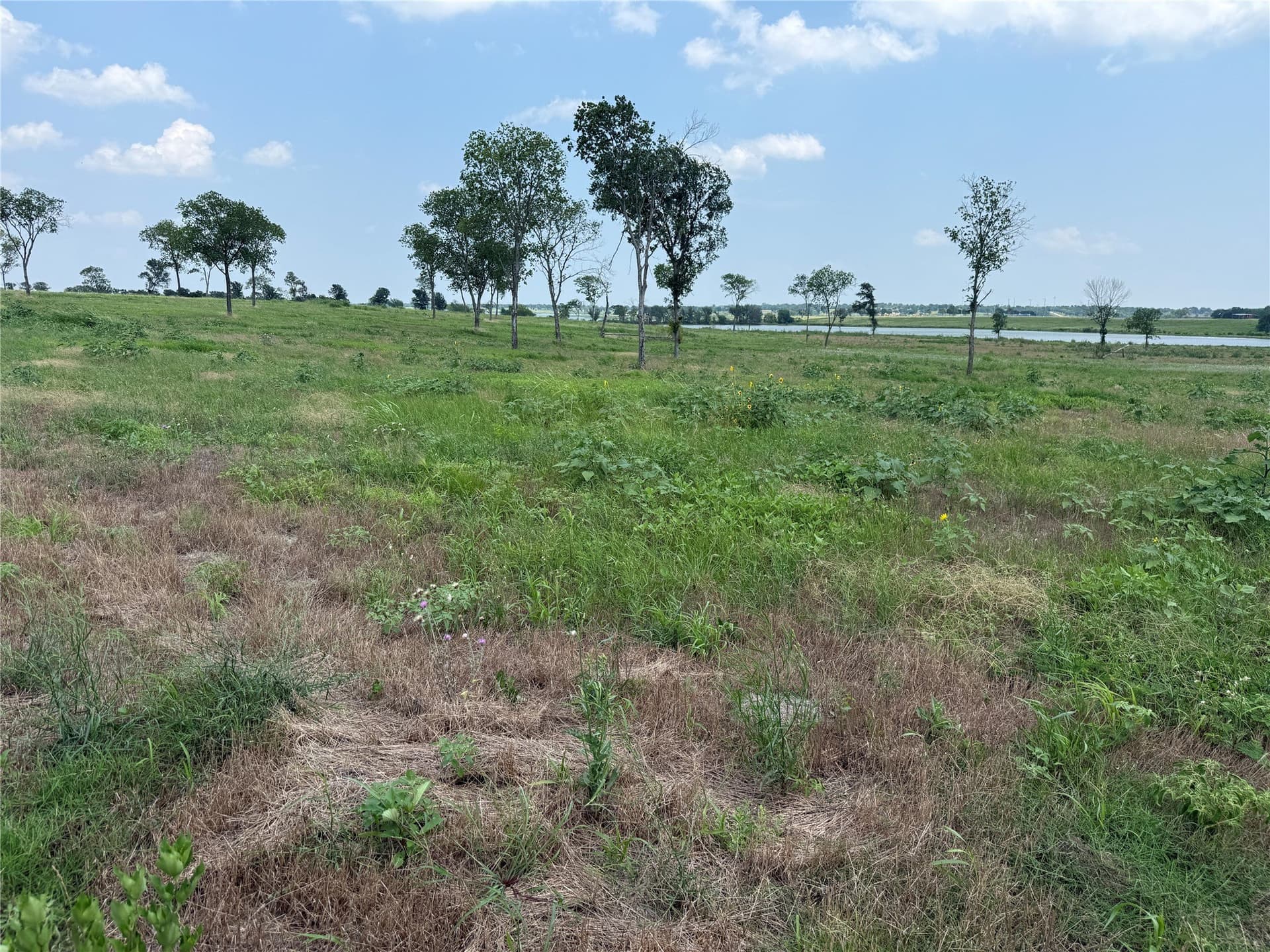 2.36 acres in Navarro County - photo 13