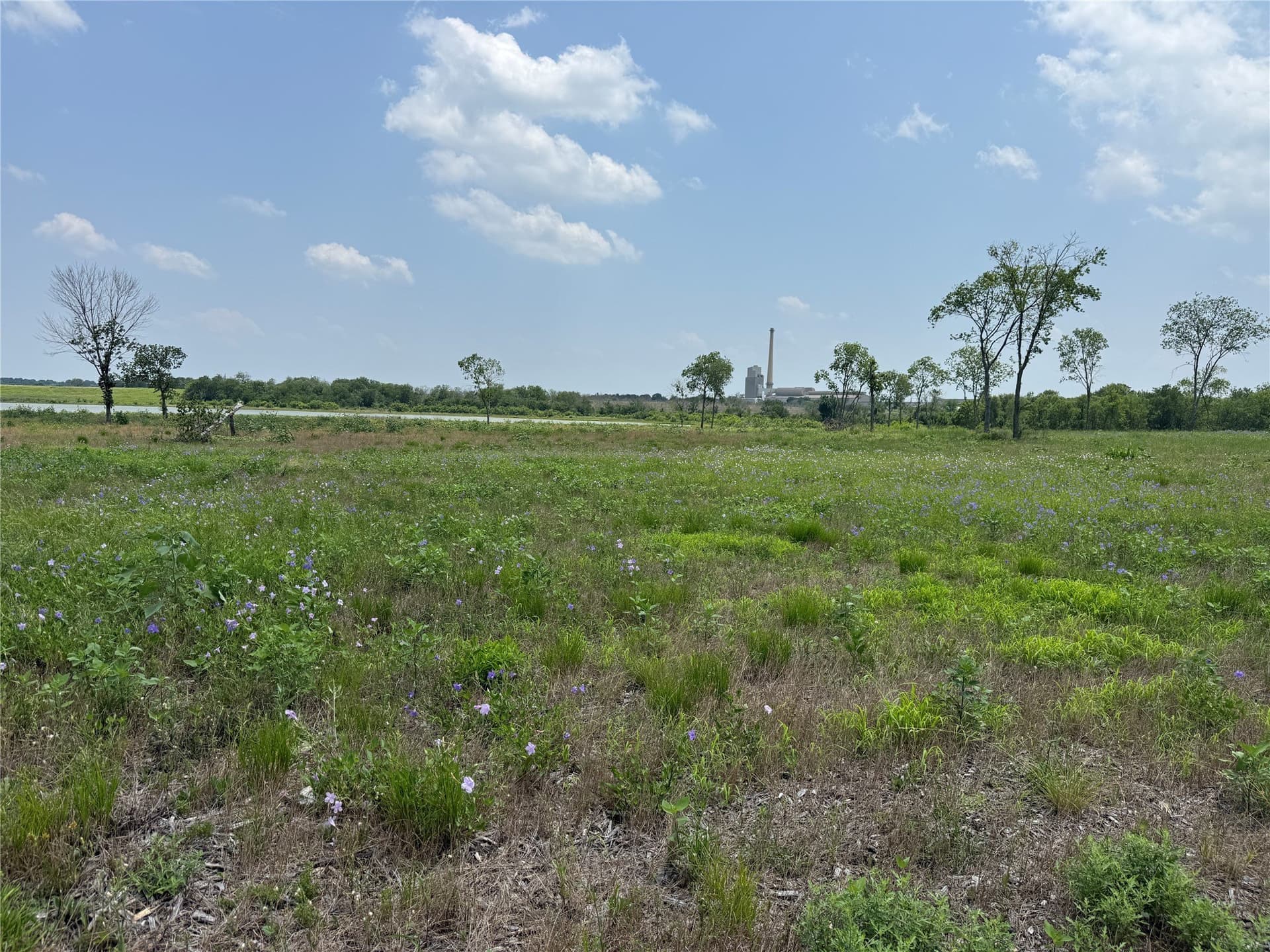 2.36 acres in Navarro County - photo 19