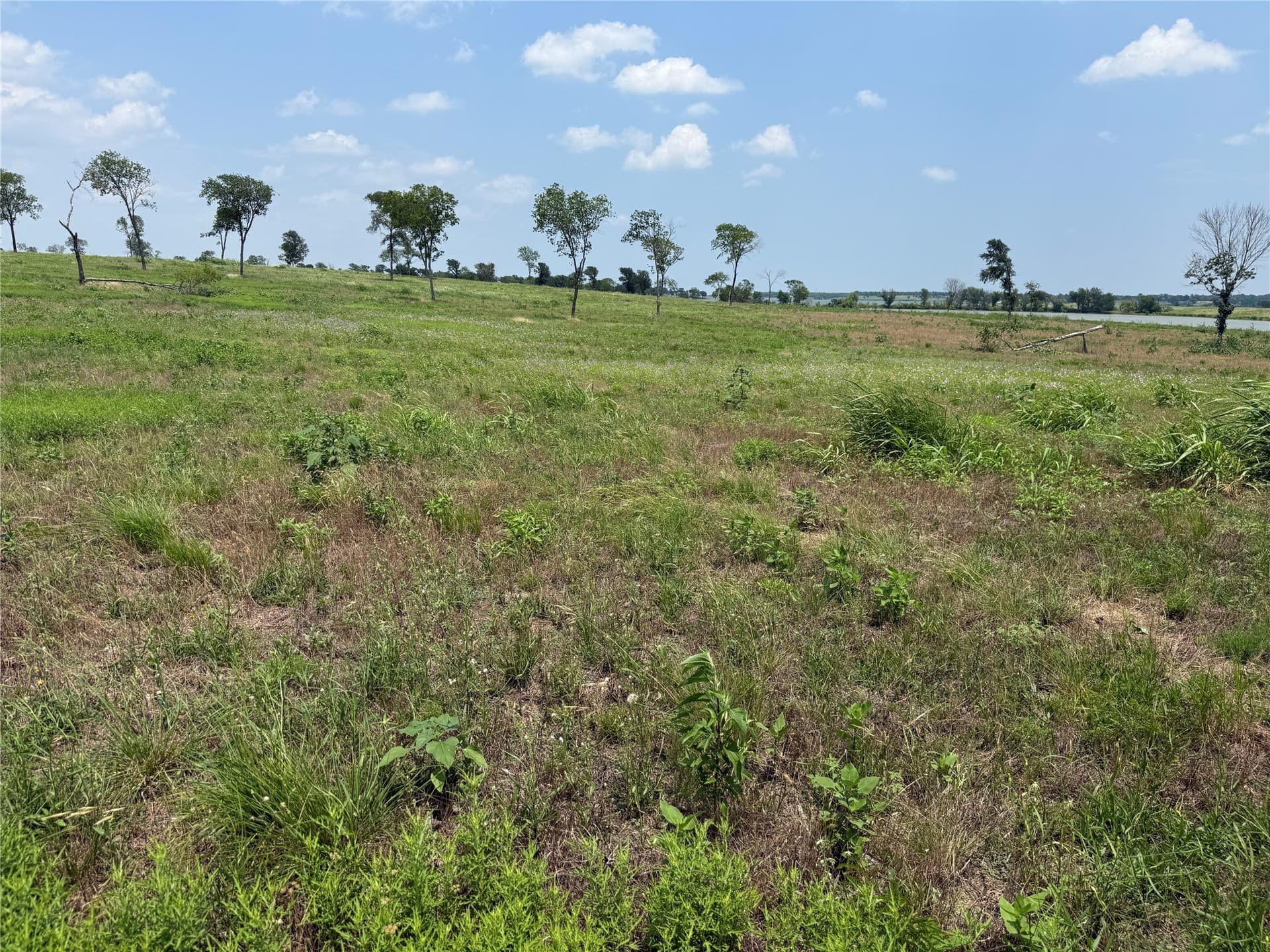 2.36 acres in Navarro County - photo 20