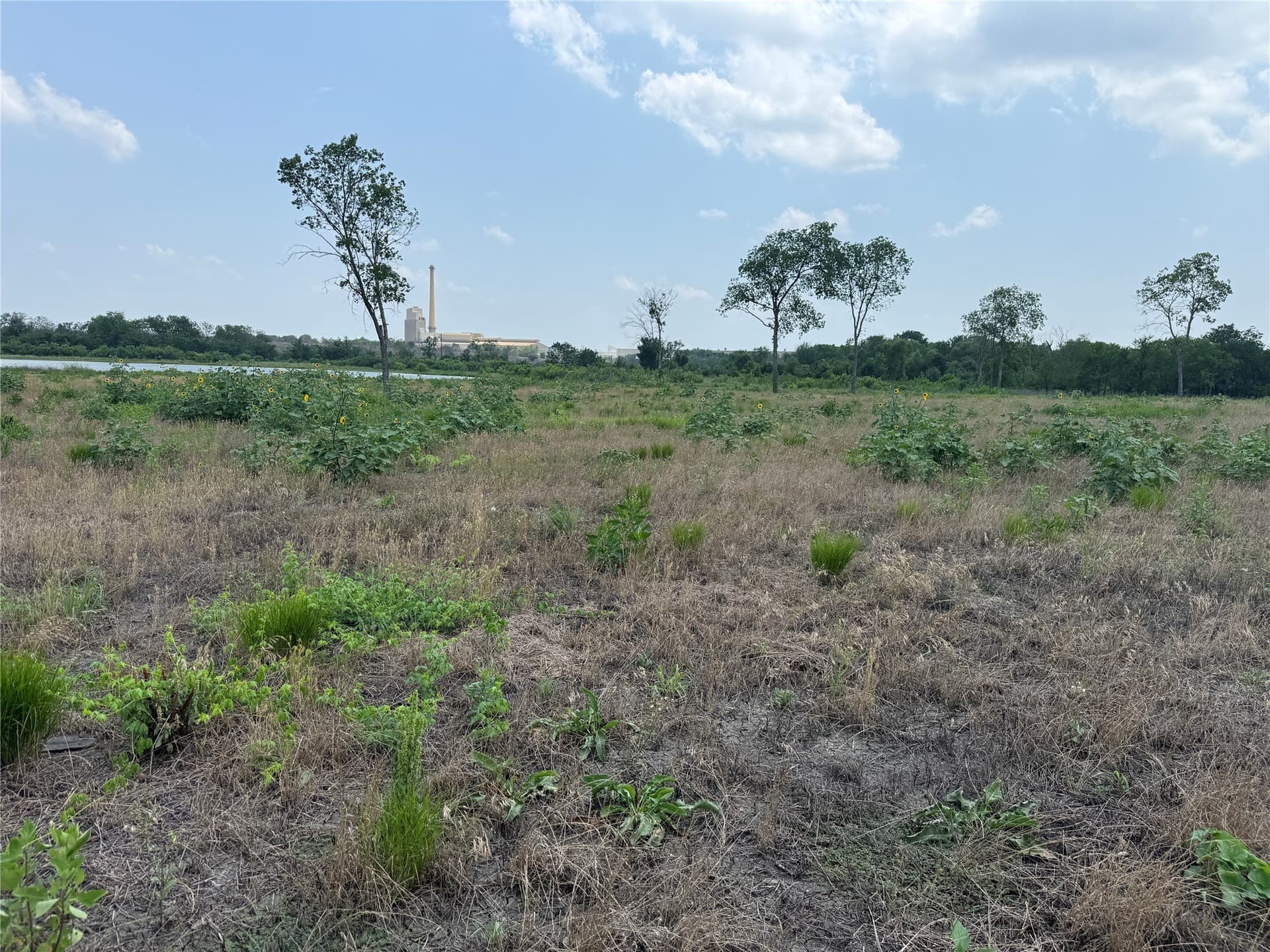 2.36 acres in Navarro County - photo 10