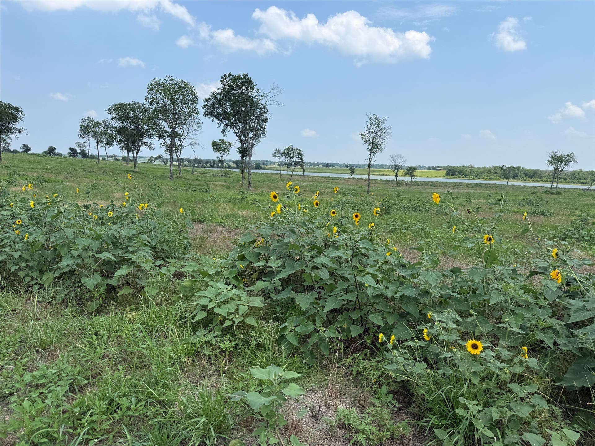 2.36 acres in Navarro County - photo 22