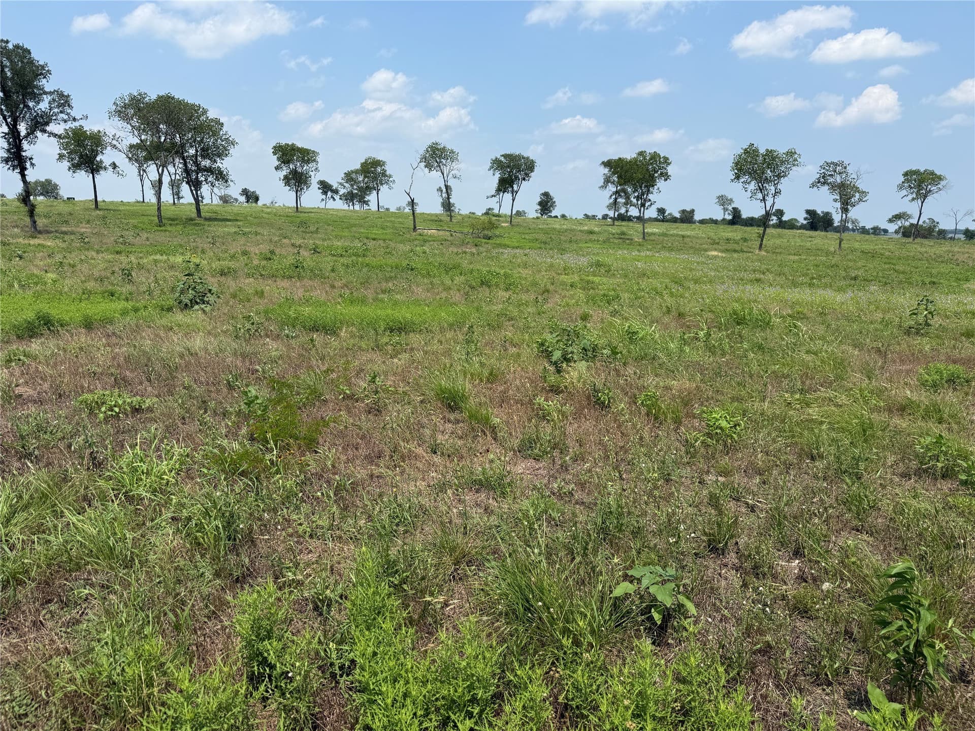 2.36 acres in Navarro County gallery image 4