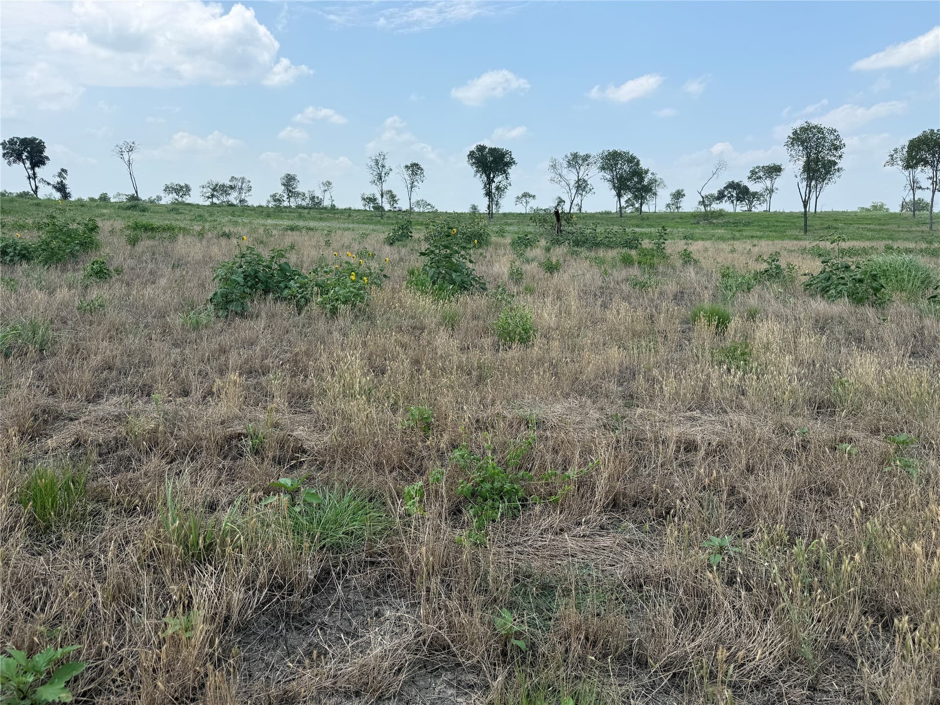 2.36 acres in Navarro County - photo 7