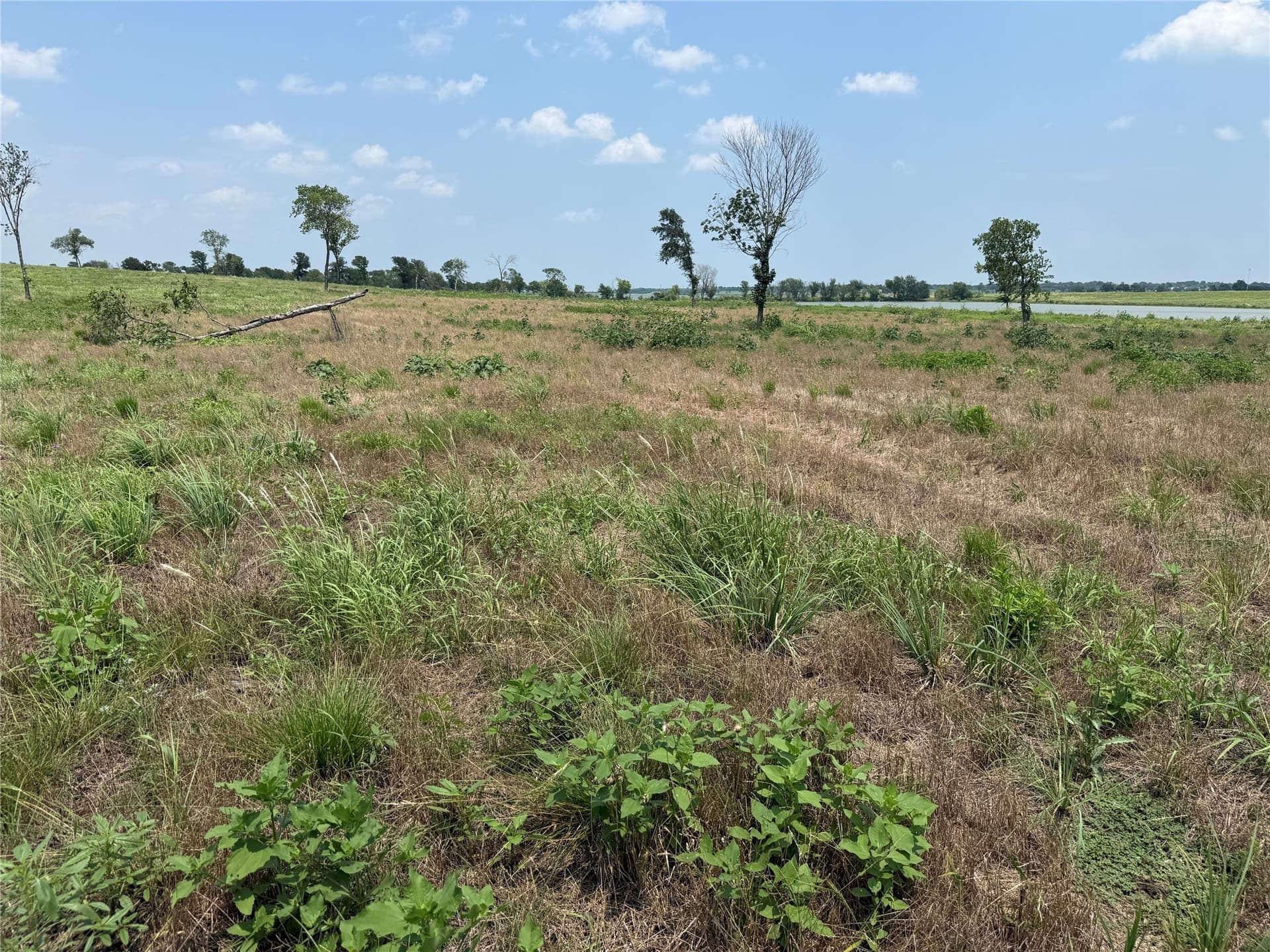 2.36 acres in Navarro County - photo 14