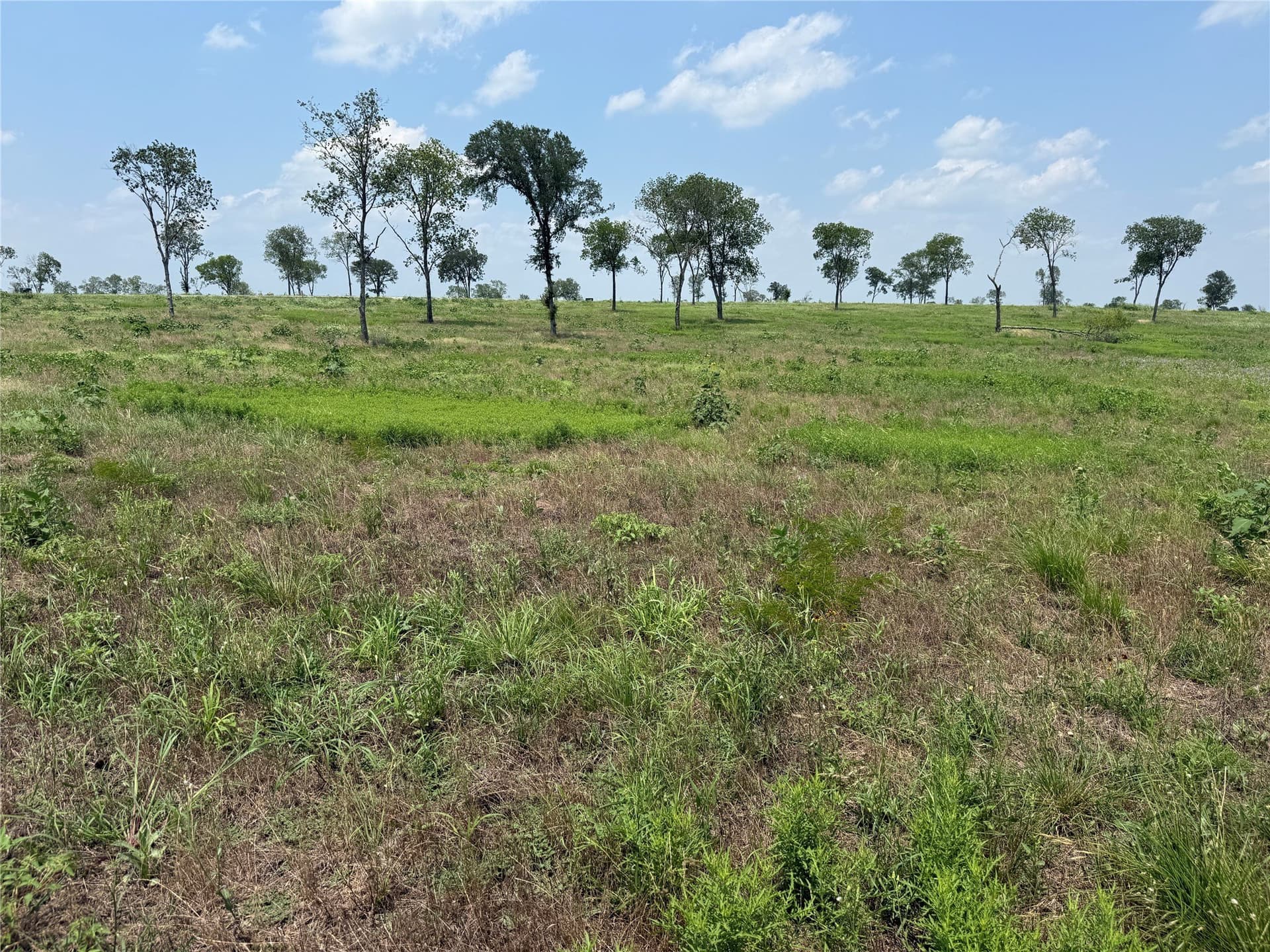 2.36 acres in Navarro County - photo 11