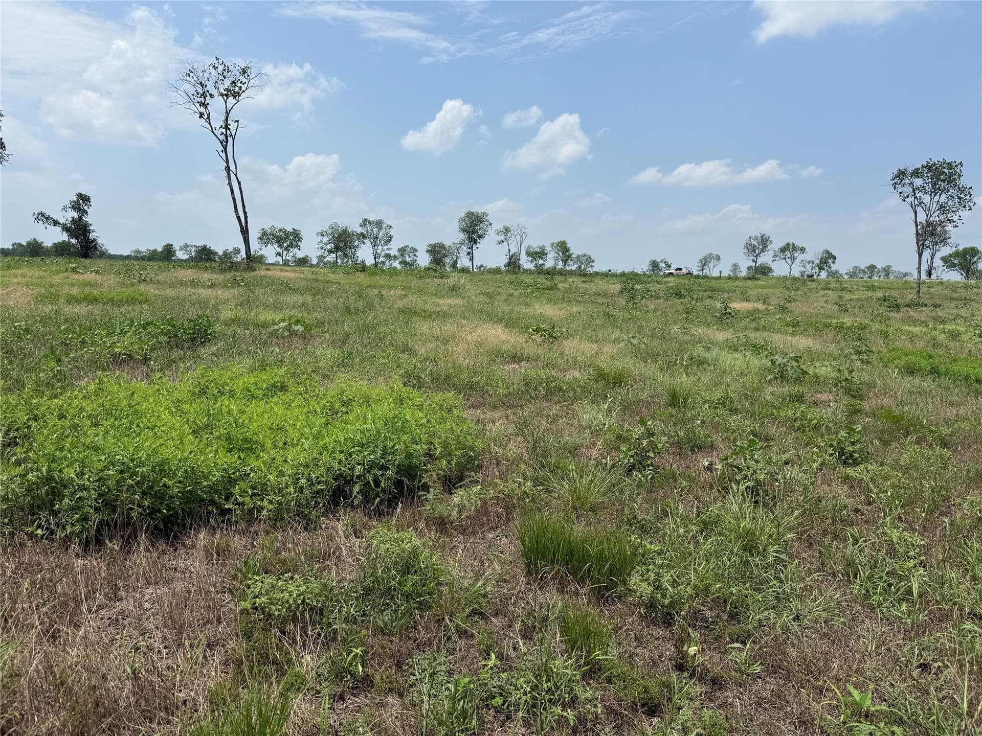 2.36 acres in Navarro County gallery image 2