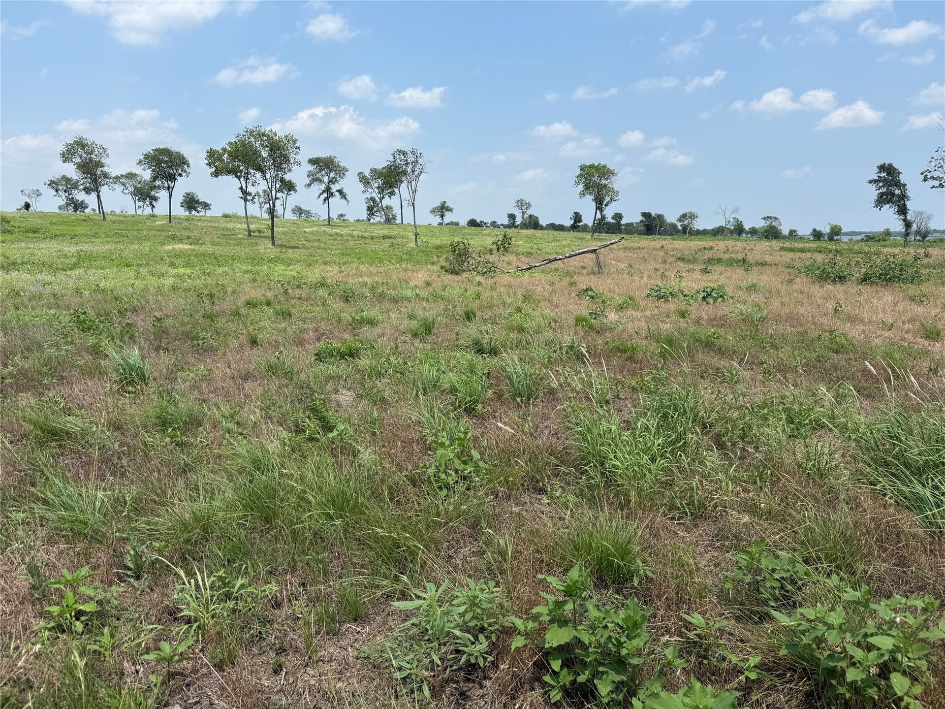 2.36 acres in Navarro County - photo 17