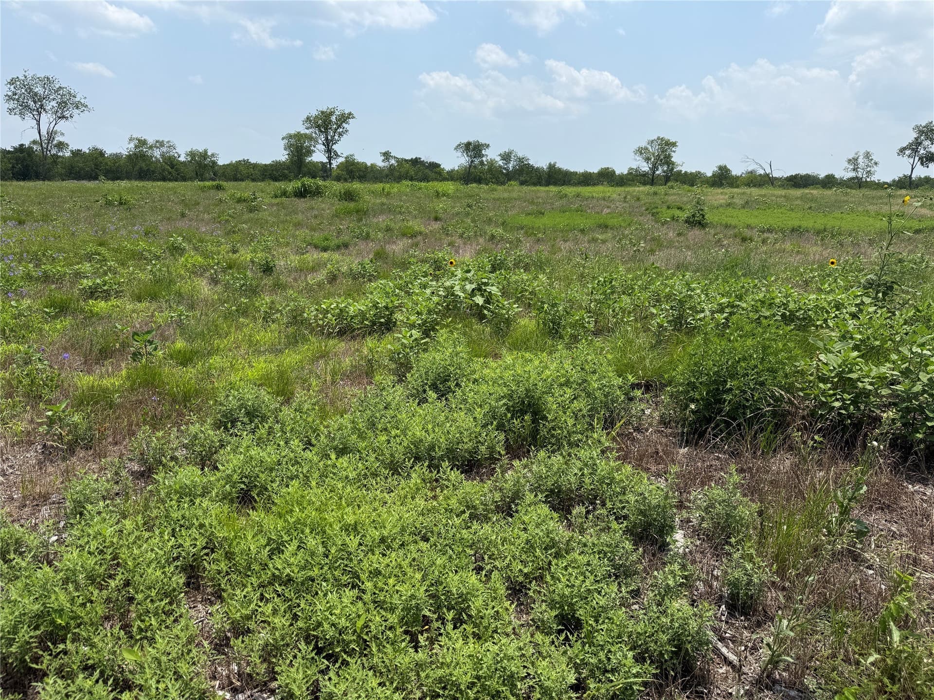 2.36 acres in Navarro County - photo 25