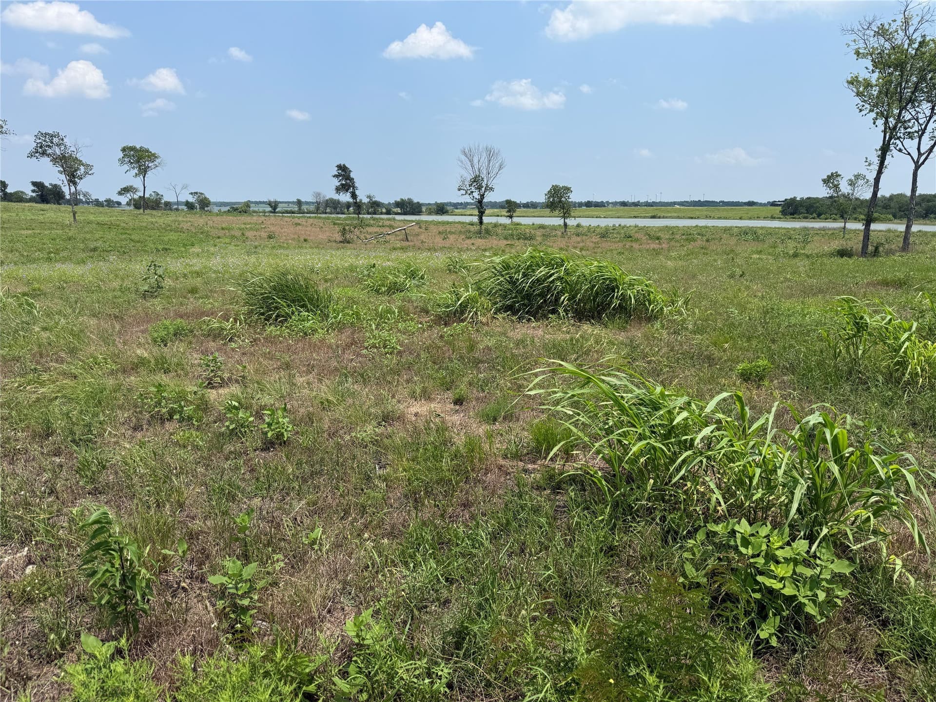 2.36 acres in Navarro County - photo 6