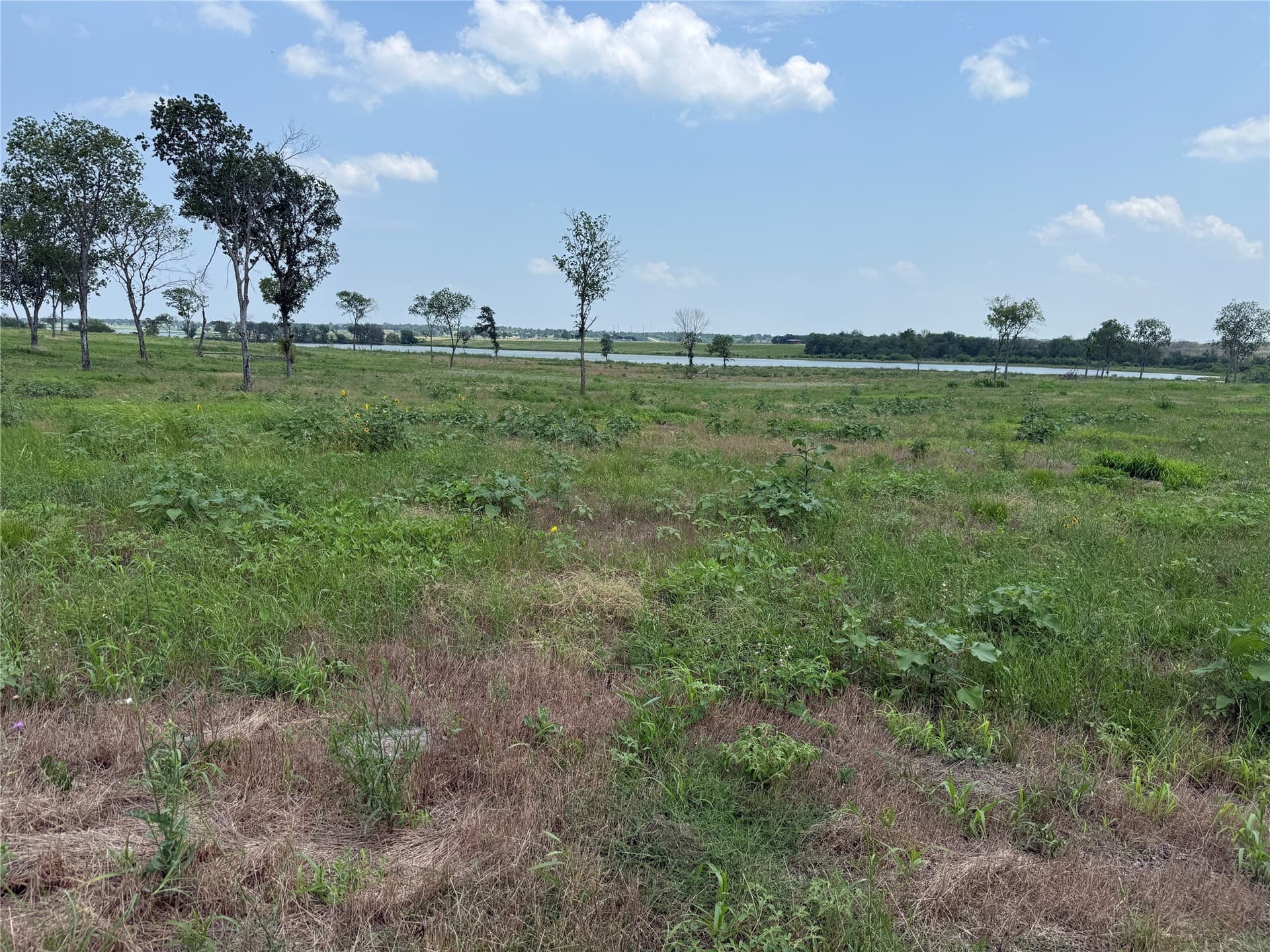 2.36 acres in Navarro County - photo 21