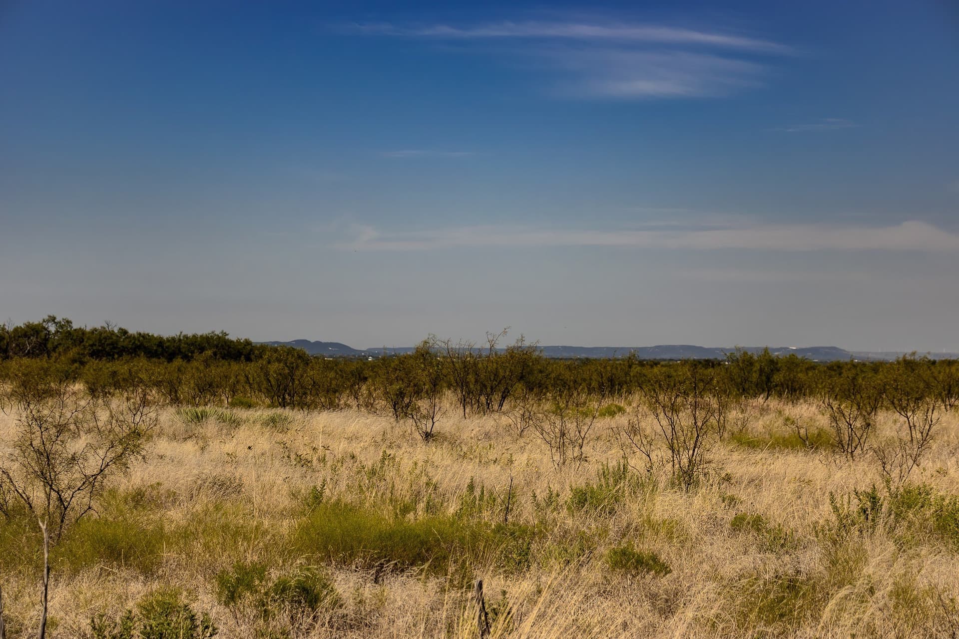 171 acres in Callahan County - photo 24