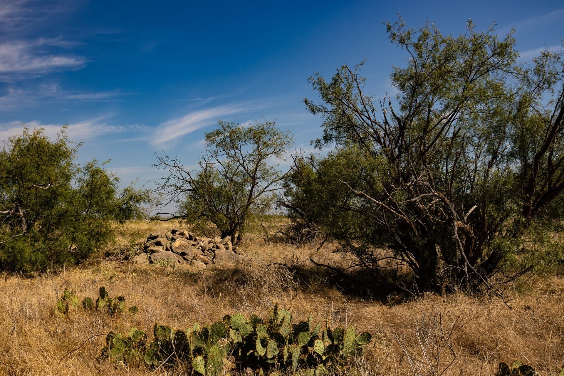 171 acres in Callahan County - photo 40