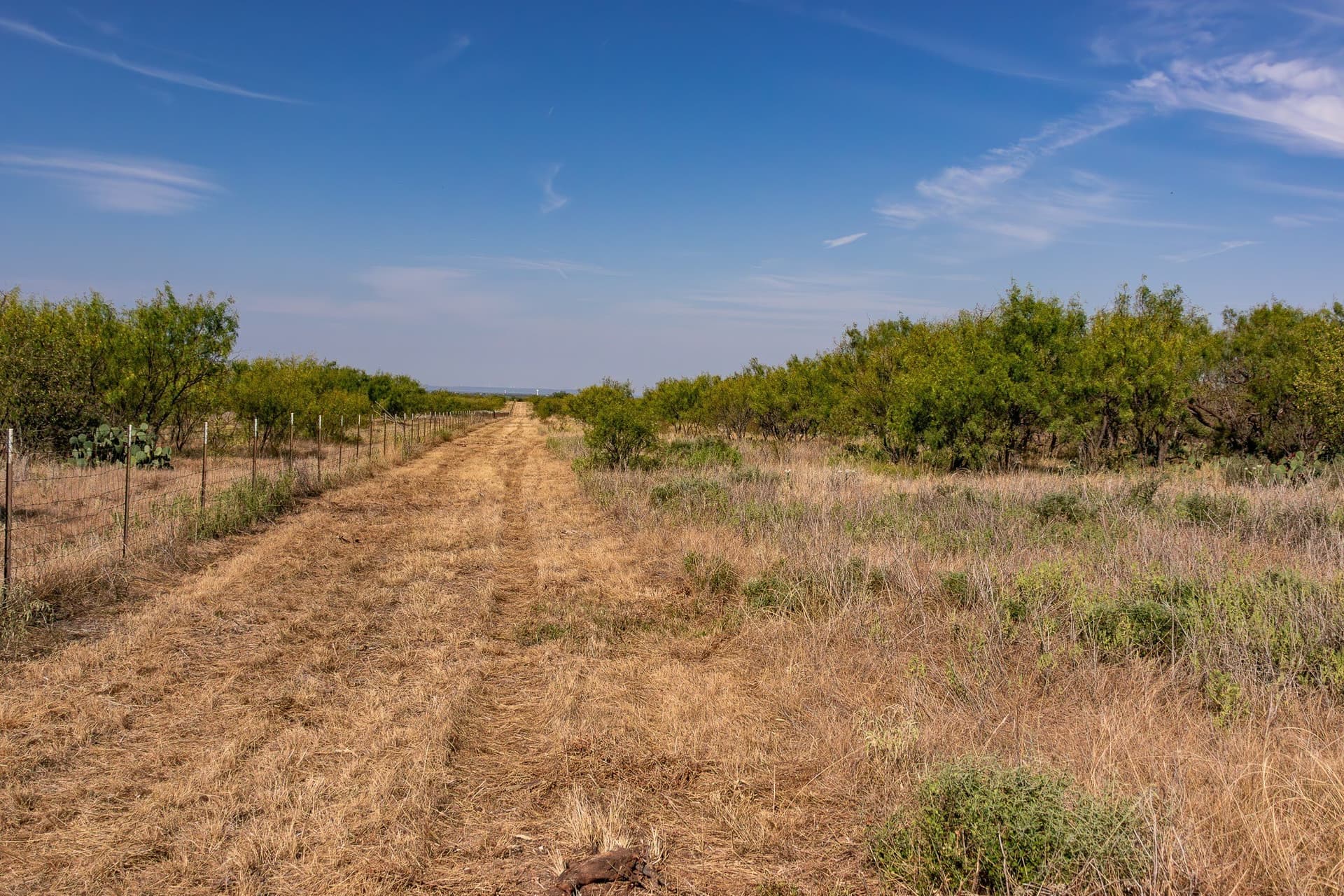 171 acres in Callahan County - photo 10
