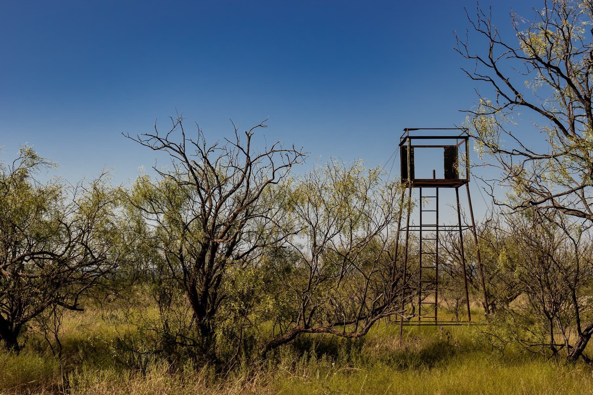 171 acres in Callahan County - photo 38