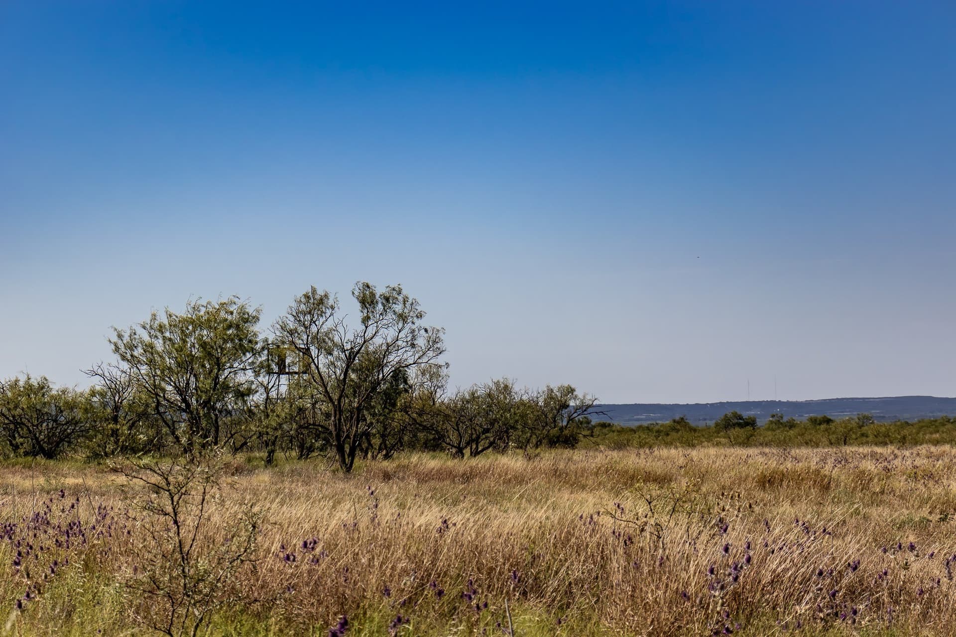 171 acres in Callahan County - photo 34