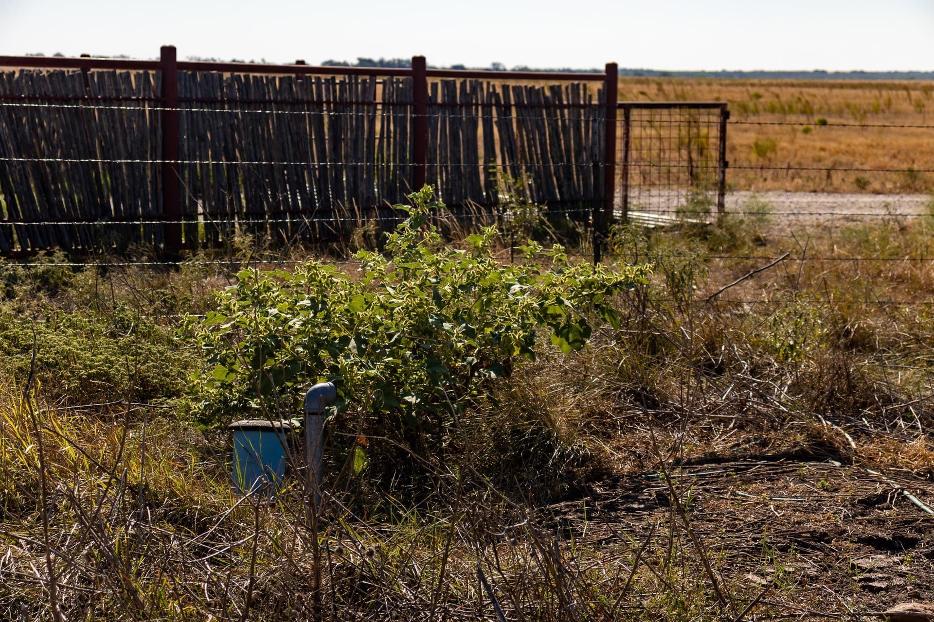 171 acres in Callahan County - photo 32