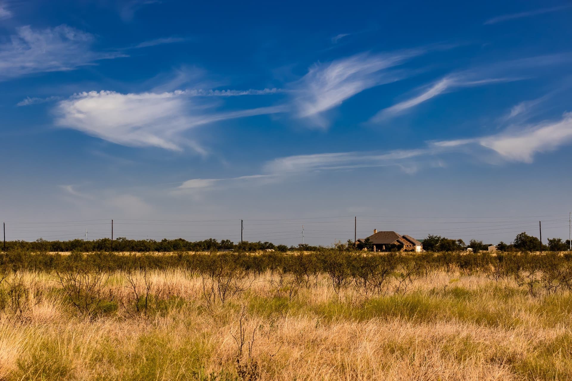 171 acres in Callahan County - photo 25