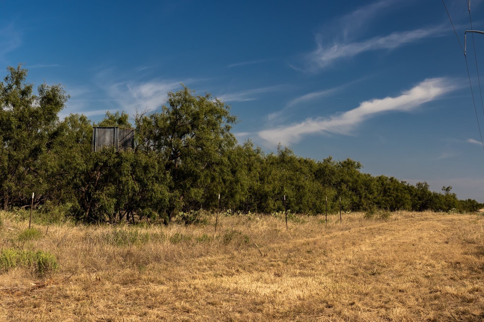 171 acres in Callahan County - photo 14
