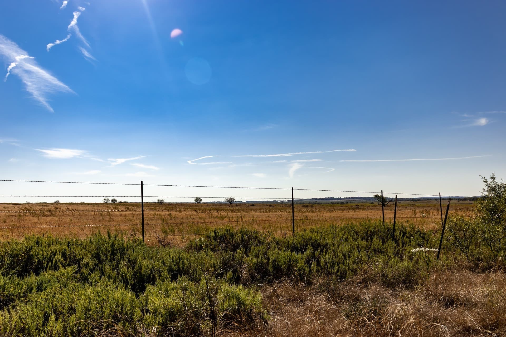 171 acres in Callahan County - photo 17