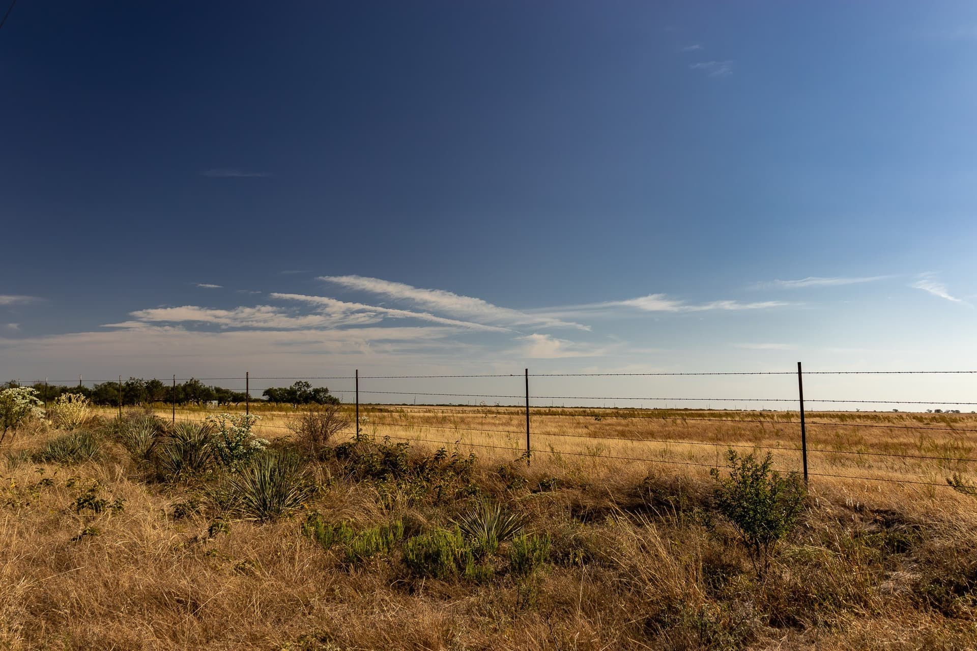 171 acres in Callahan County - photo 19