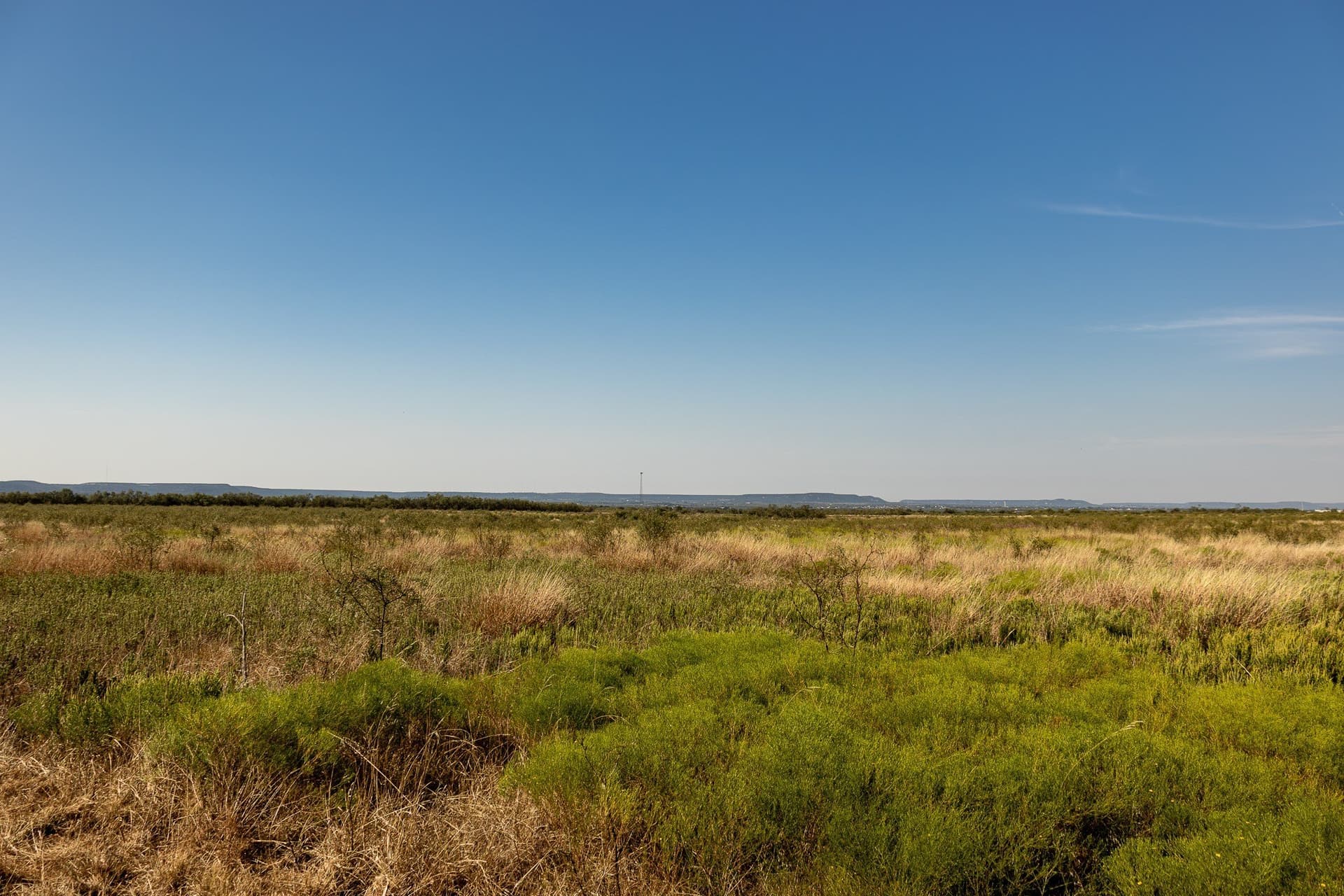 171 acres in Callahan County - photo 23