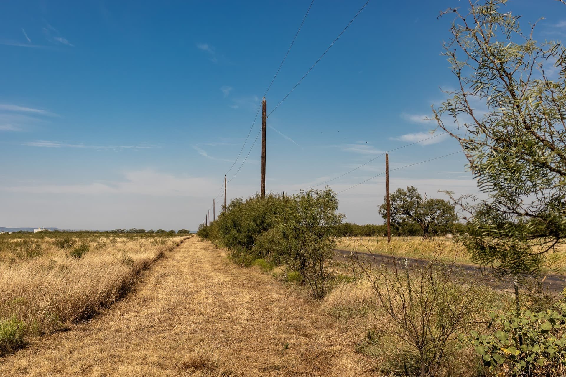 171 acres in Callahan County - photo 29