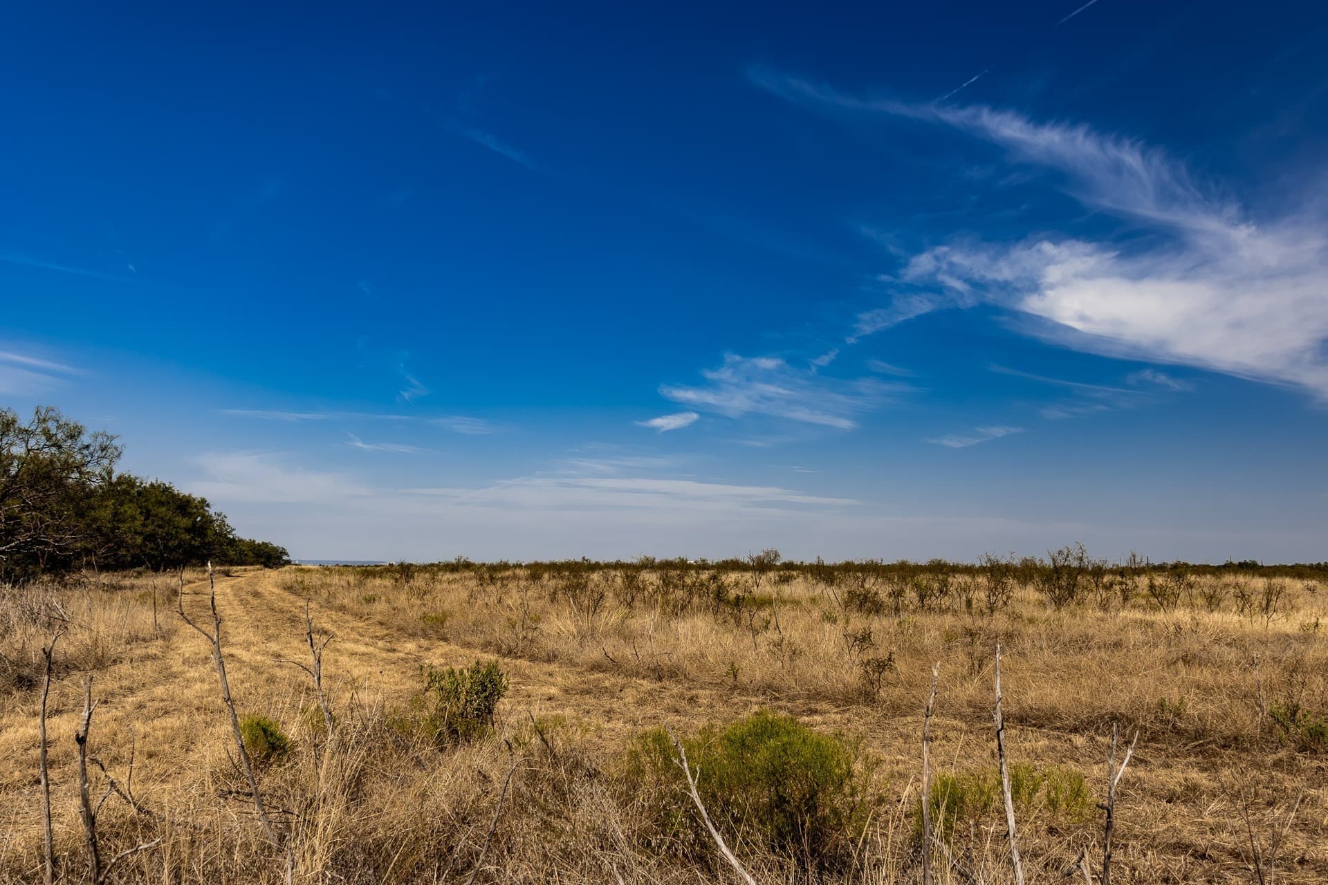 171 acres in Callahan County - photo 21
