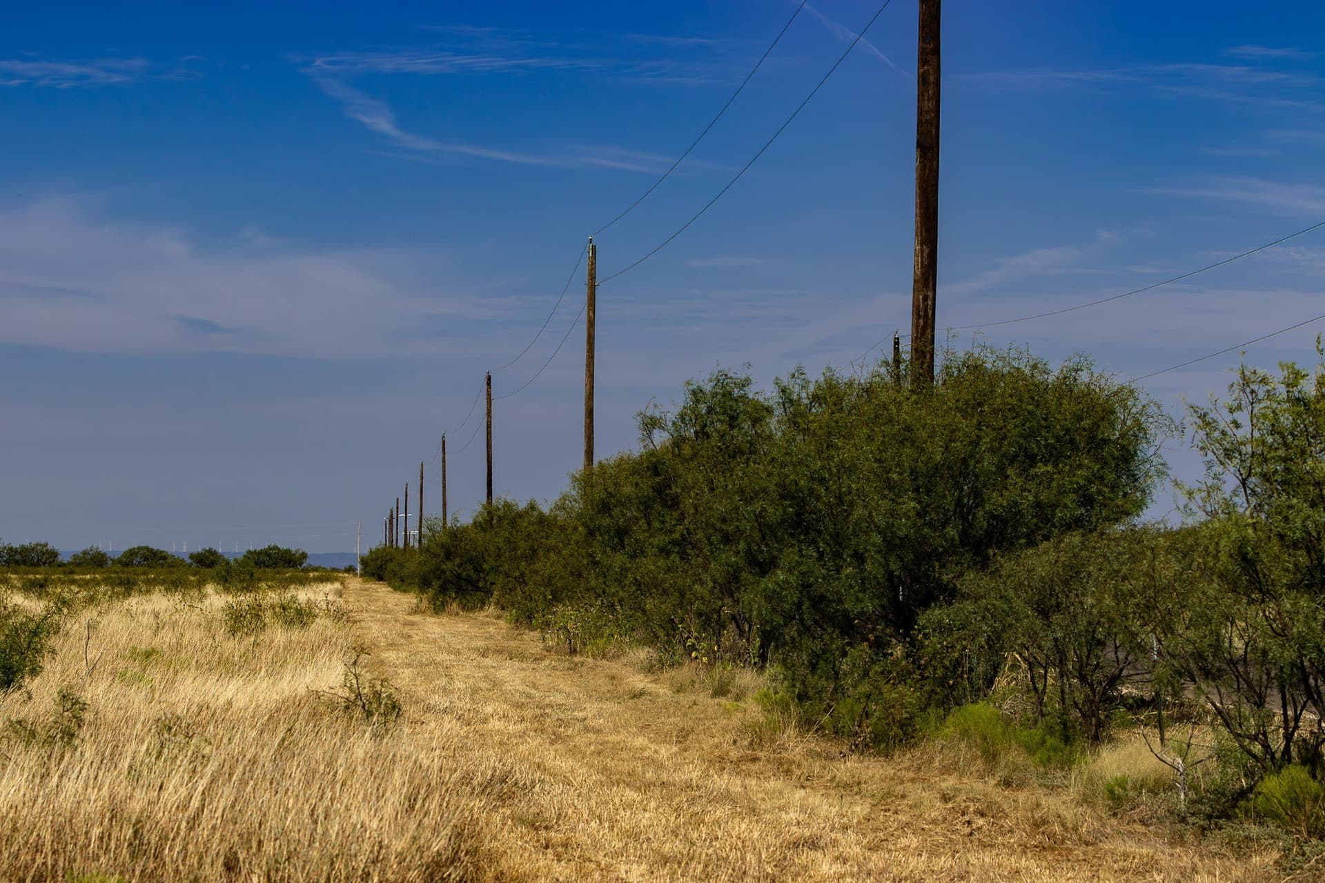 171 acres in Callahan County - photo 31
