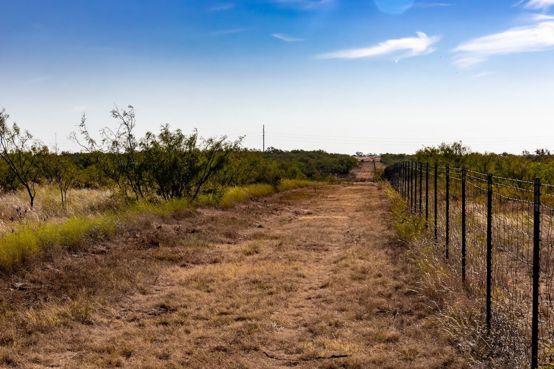 171 acres in Callahan County - photo 8