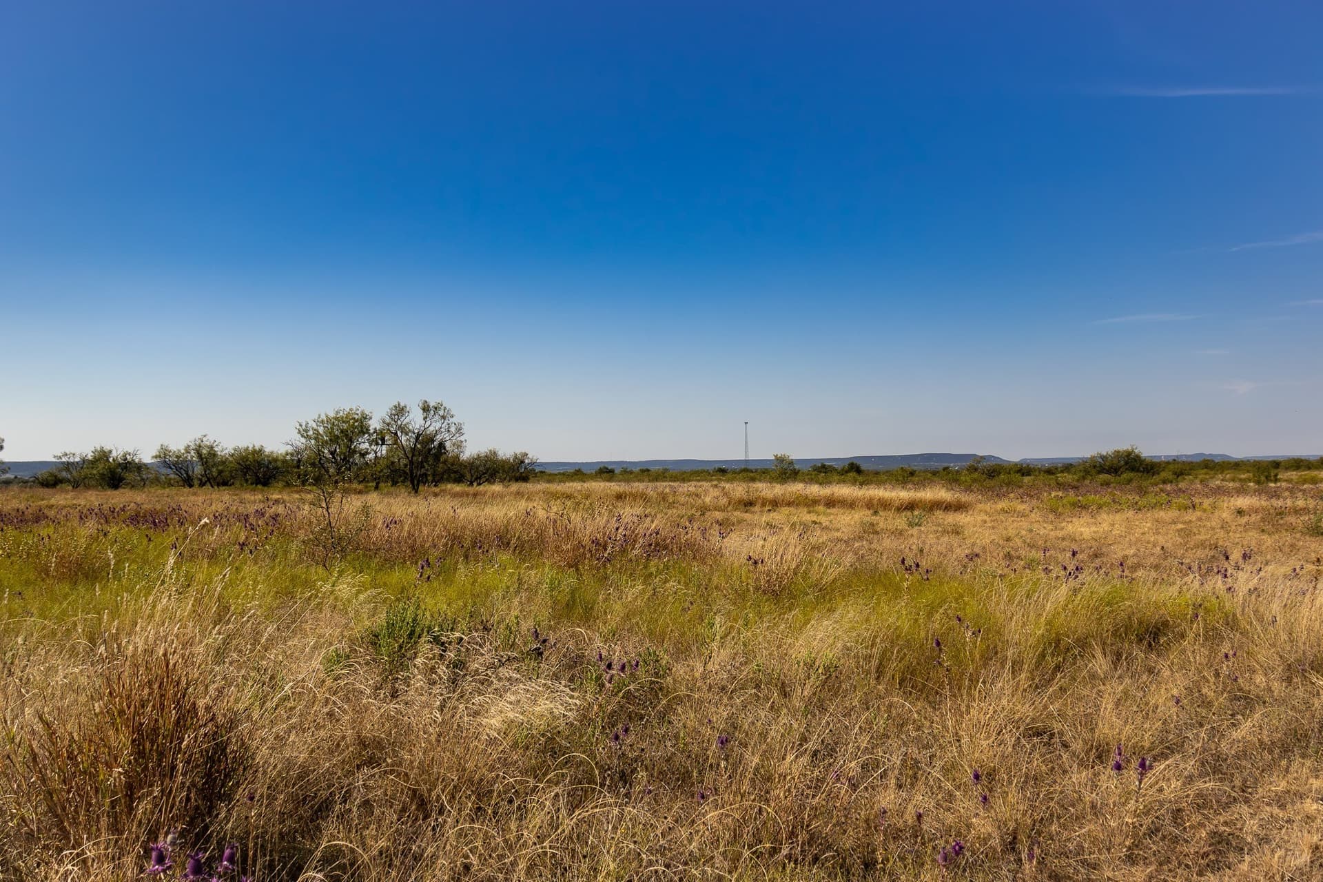 171 acres in Callahan County - photo 37