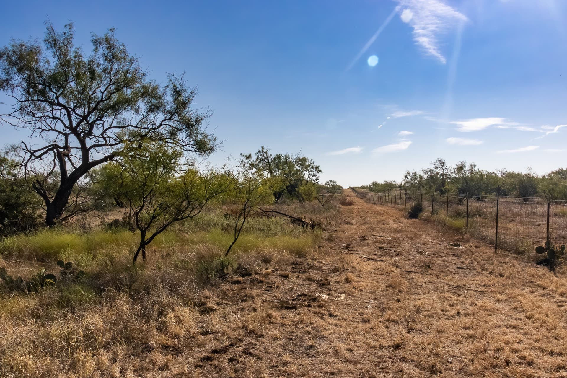 171 acres in Callahan County - photo 4