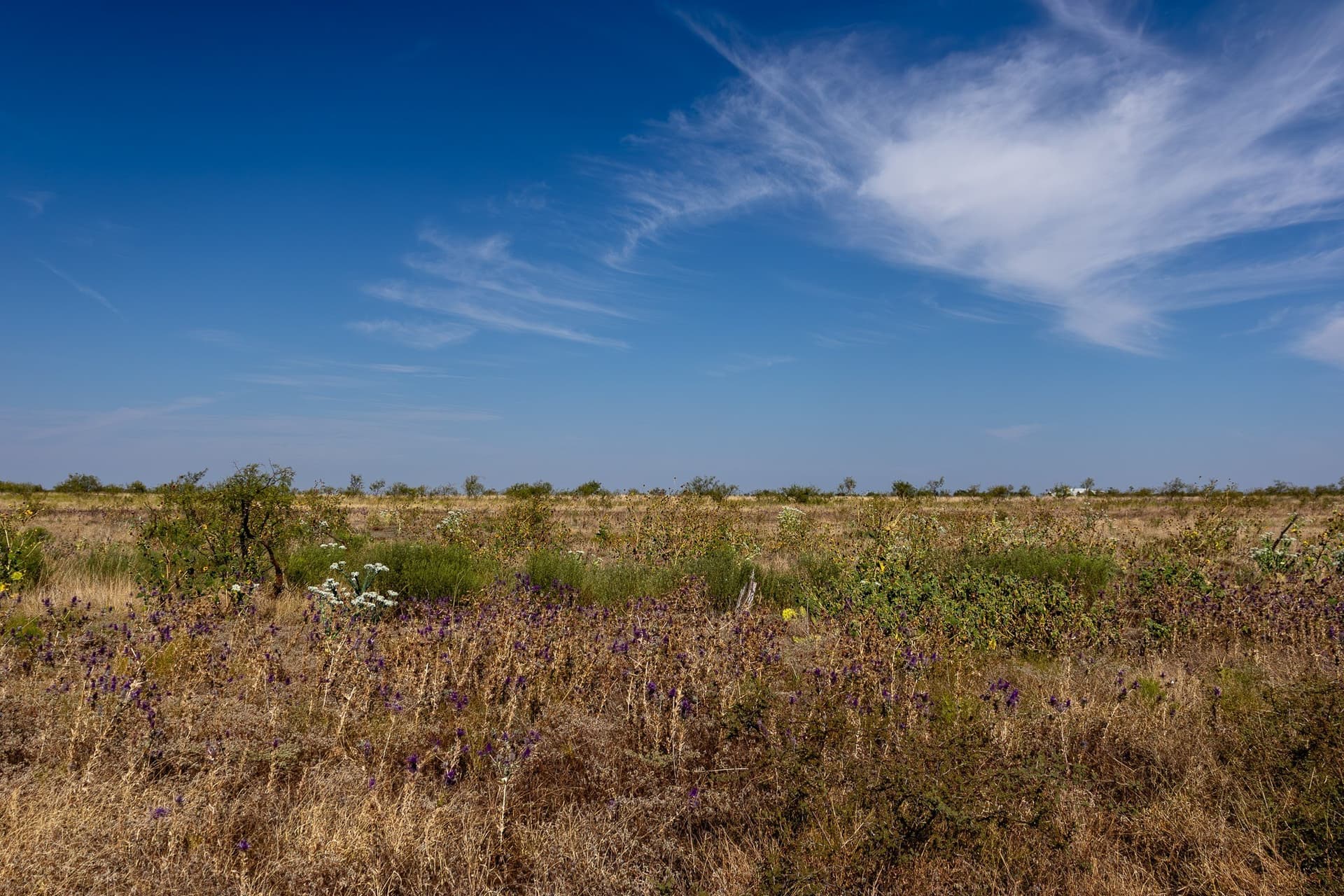 171 acres in Callahan County - photo 39