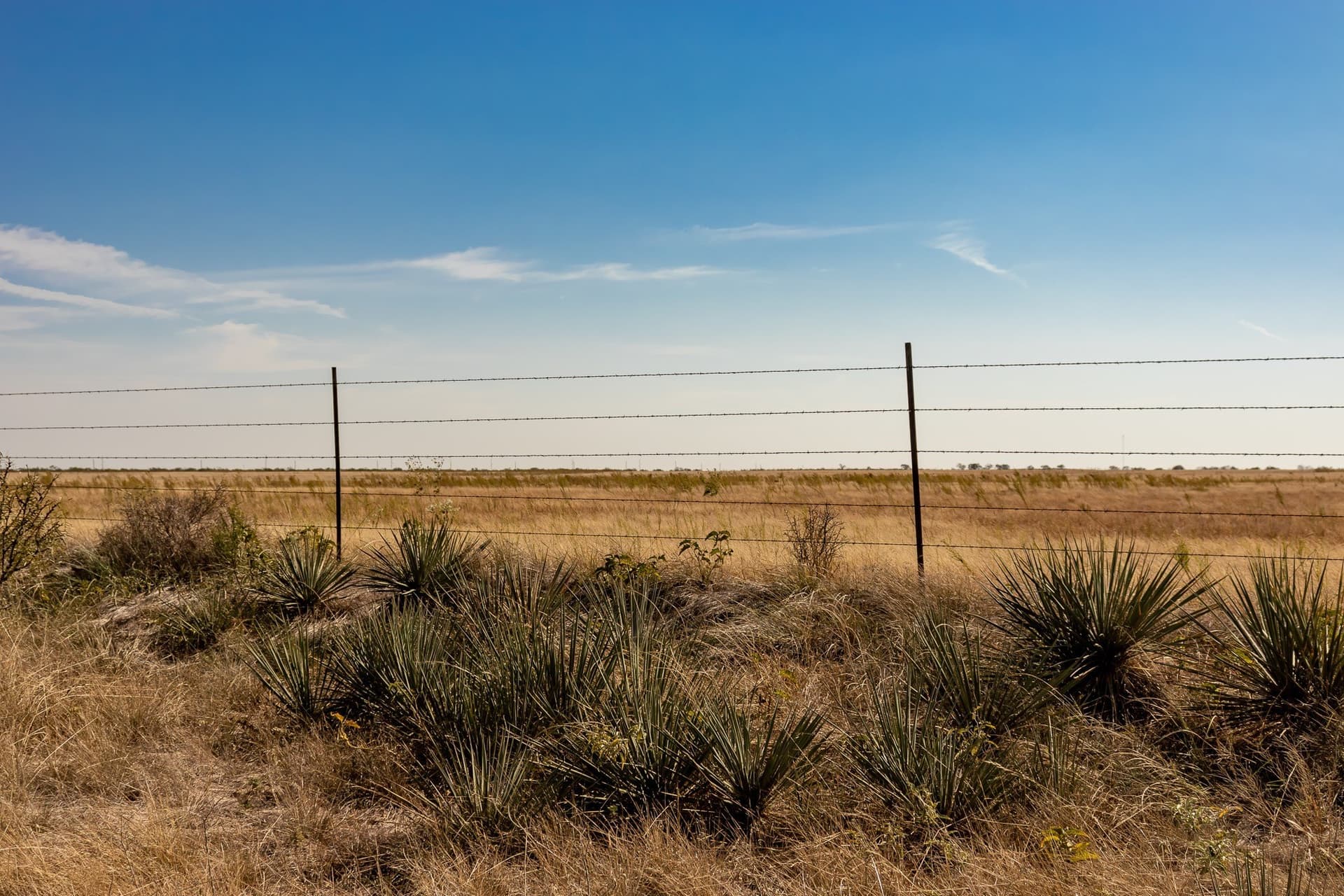171 acres in Callahan County - photo 18