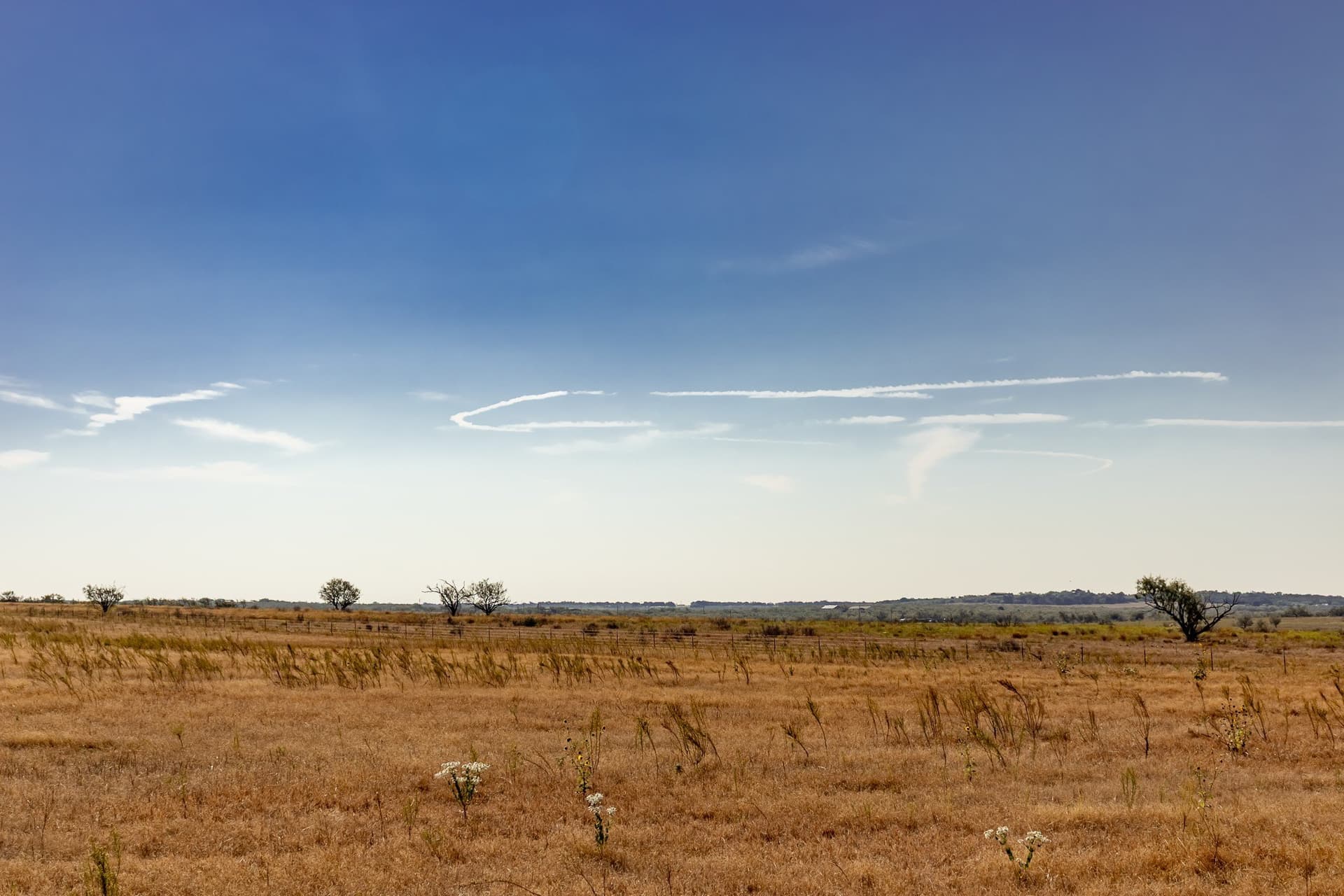 171 acres in Callahan County - photo 16