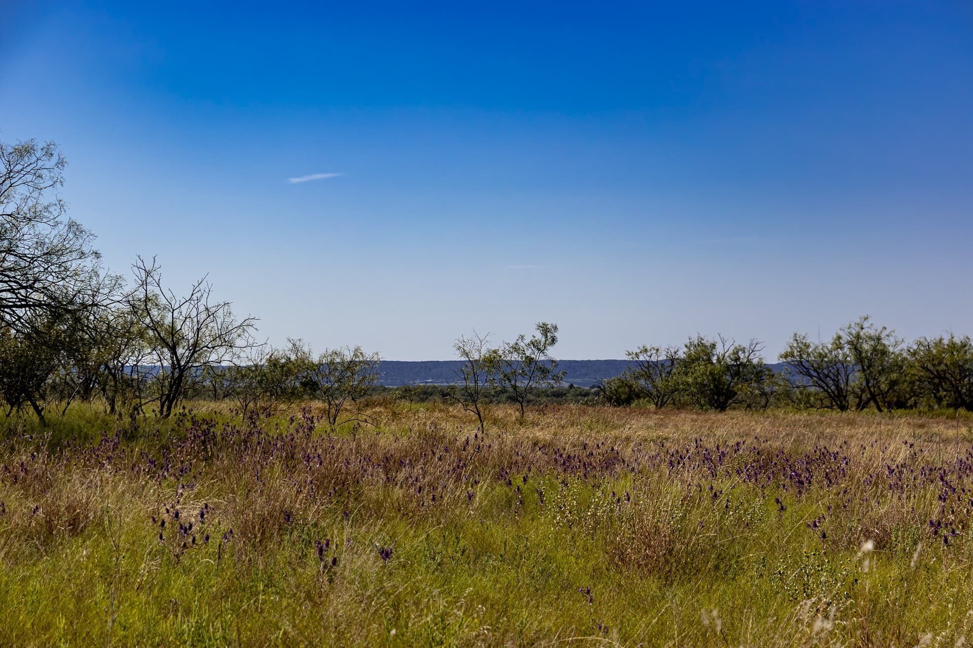 171 acres in Callahan County - photo 36
