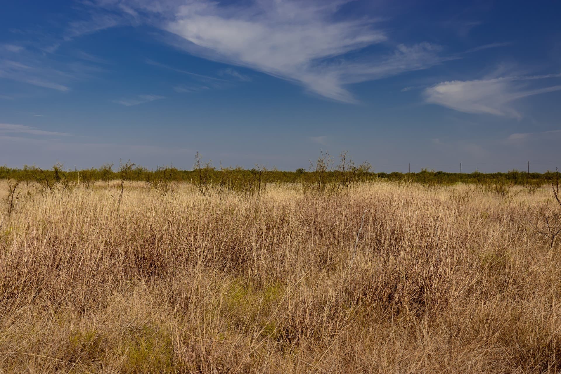 171 acres in Callahan County - photo 22
