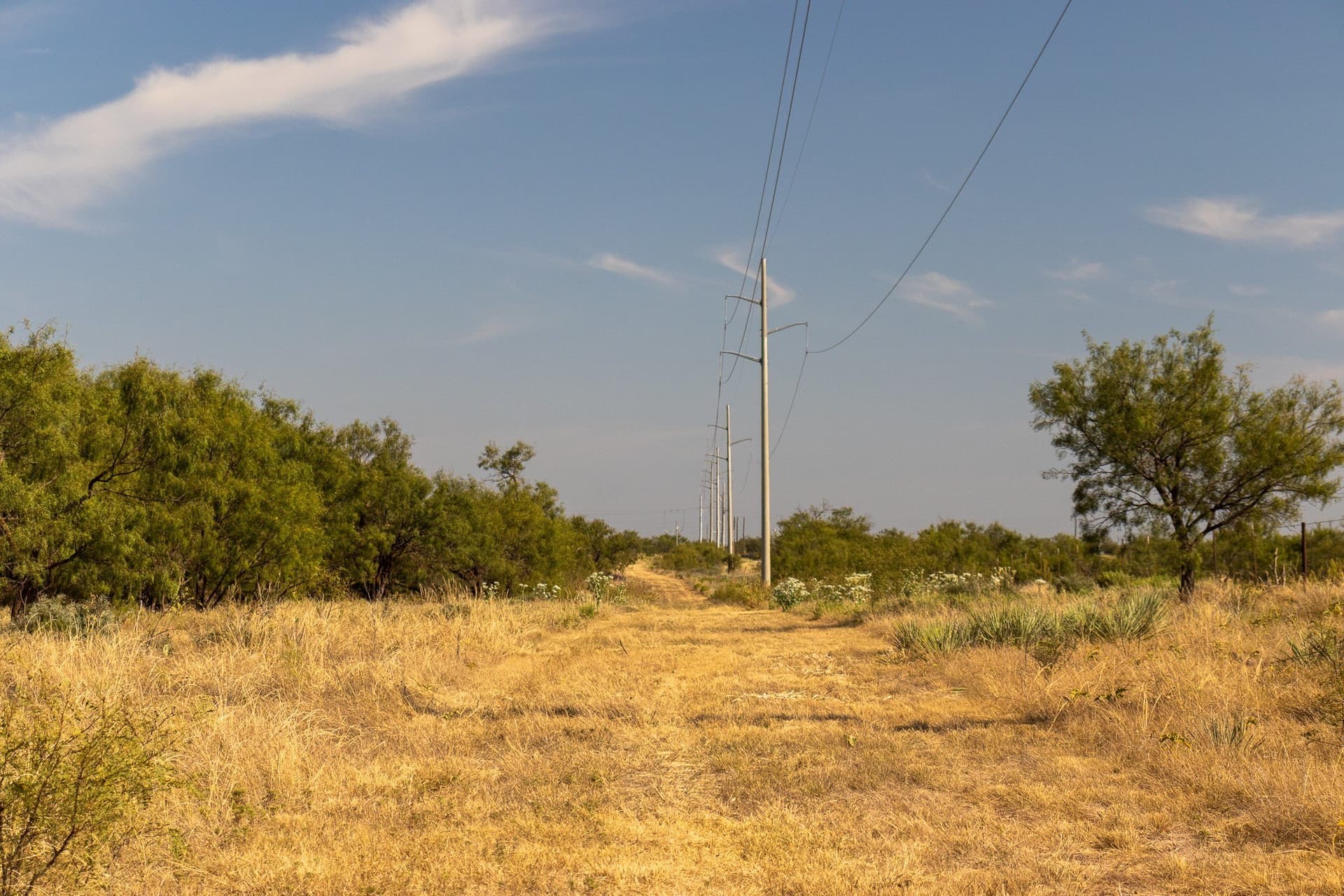 171 acres in Callahan County - photo 20
