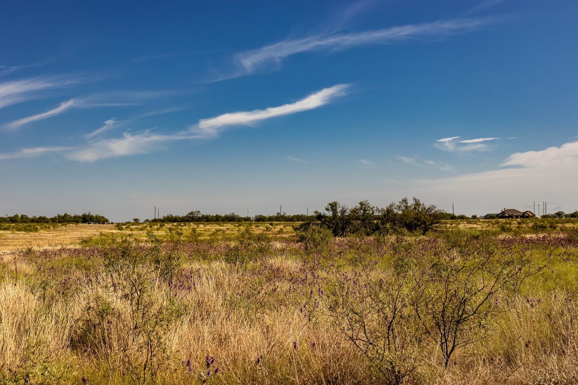 171 acres in Callahan County - photo 35